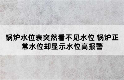 锅炉水位表突然看不见水位 锅炉正常水位却显示水位高报警